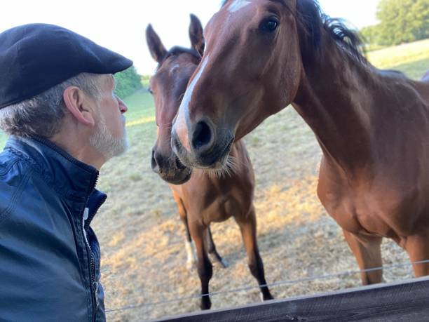 istock Close welcome  to horses 1227524117
