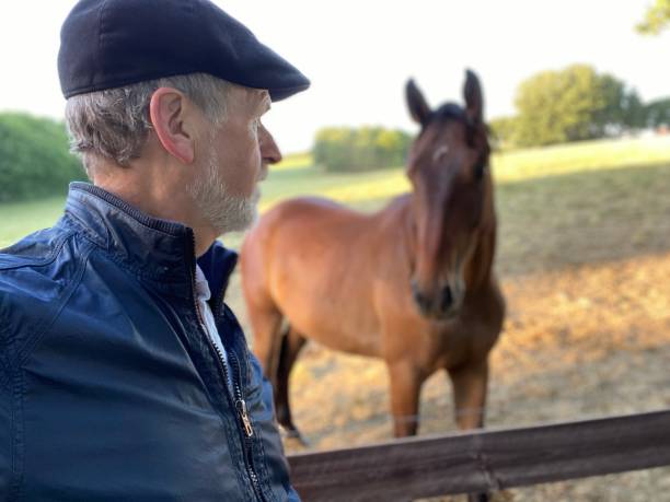 Close welcome  to horses