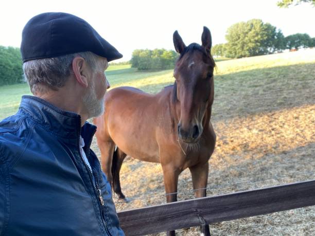 istock Close welcome  to horses 1227524119