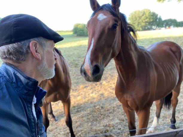 istock Close welcome  to horses 1227524123