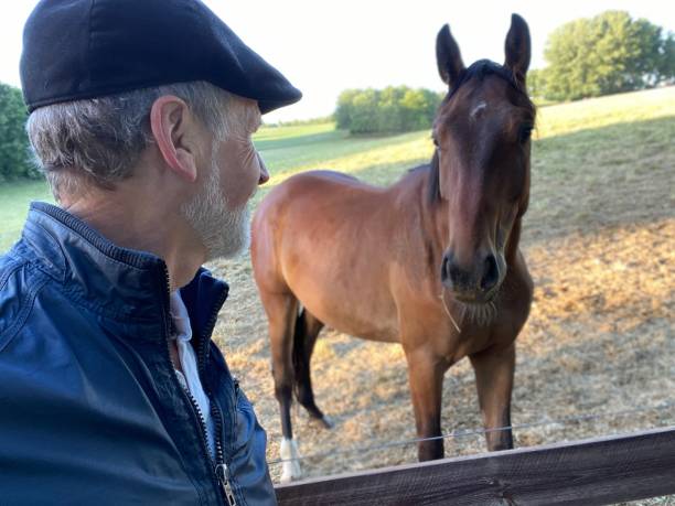 istock Close welcome  to horses 1227524132