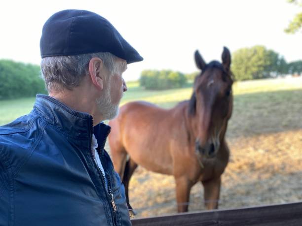 istock Close welcome  to horses 1227524134