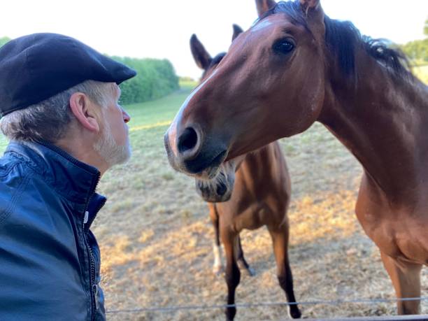 istock Close welcome  to horses 1227524145