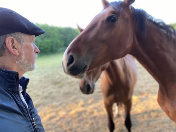 istock Close welcome  to horses 1227524147
