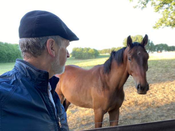 istock Close welcome  to horses 1227524151