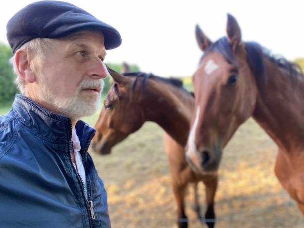 istock Close welcome  to horses 1227524153