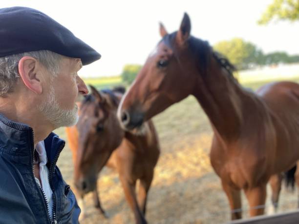 istock Close welcome  to horses 1227524161