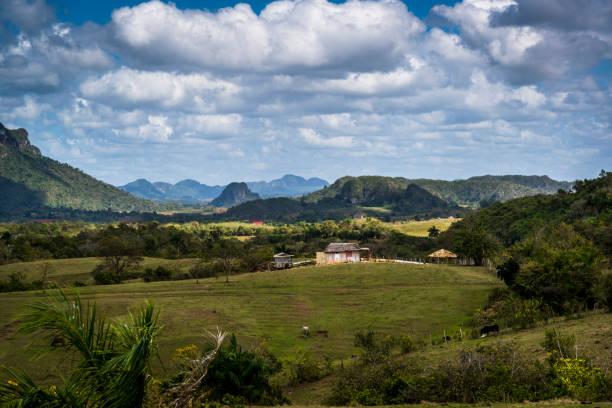 istock Farm house, Vinales Valley, Cuba 1227524340