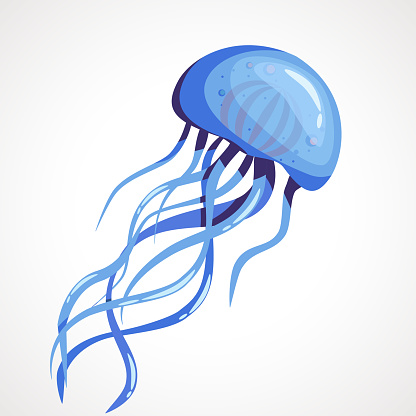 Cartoon blue jellyfish on a white background. Vector illustration