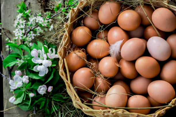 istock basket of eggs 1227527345