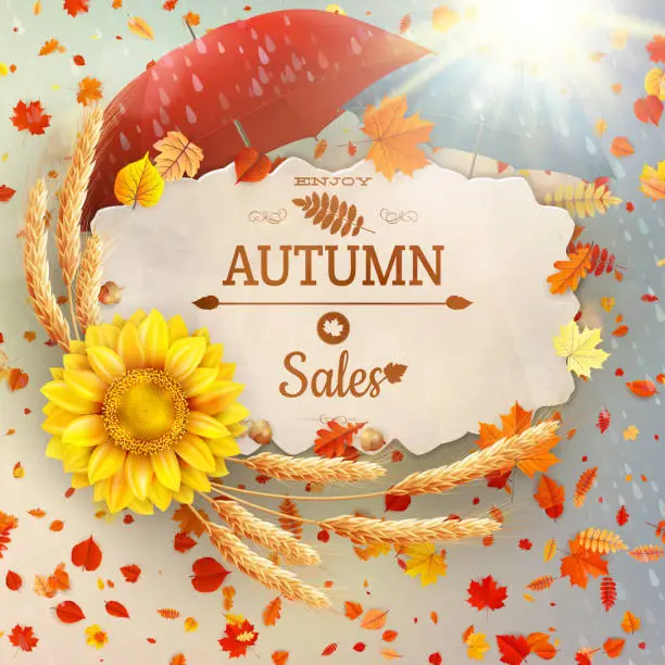 Vector illustration of Background on a theme of autumn. Sale. EPS 10
