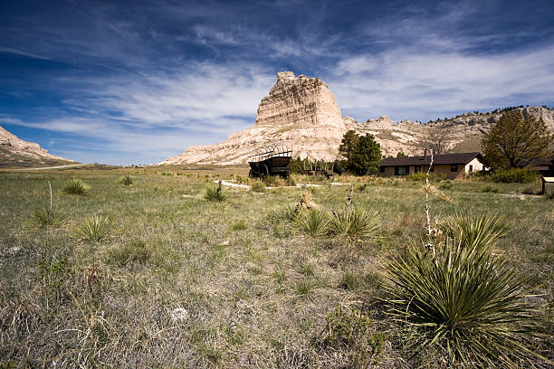 잭슨 부트 - nebraska the oregon trail covered wagon landscape 뉴스 사진 이미지