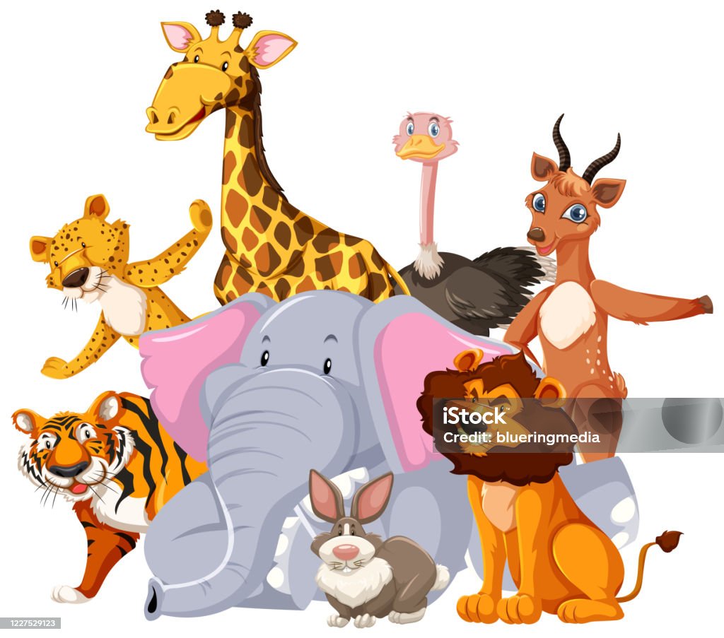 Group Of Wild Animal Cartoon Character Stock Illustration - Download Image  Now - Animal, Animal Wildlife, Art - iStock
