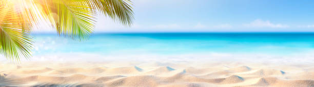 bannière d’été - sable ensoleillé avec des feuilles de palmier dans la plage tropicale - beach photos et images de collection