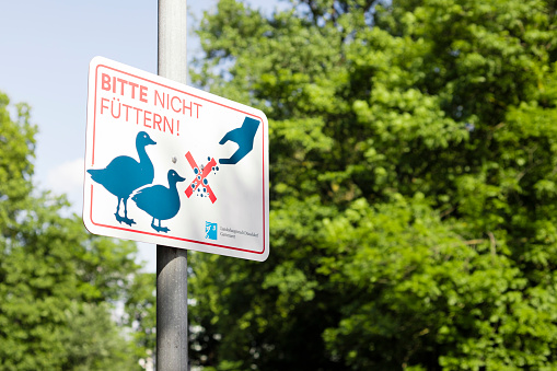 DÃ¼sseldorf, Germany - May 25, 2019: Do not feed the ducks and other animals in park. Banner from cityhall DÃ¼sseldorf