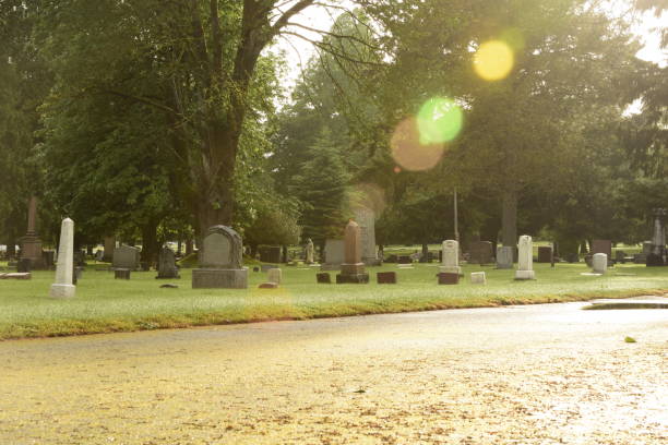 istock Across The Street From Cemetery Surrounded By Trees Against Sunrays 1227536404