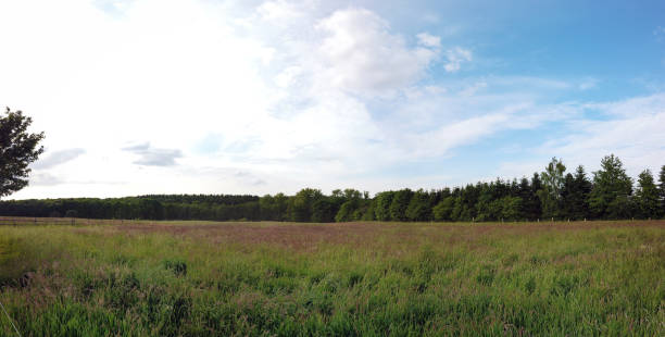 panoramic Environment freshness at village with clouds and natural elements around