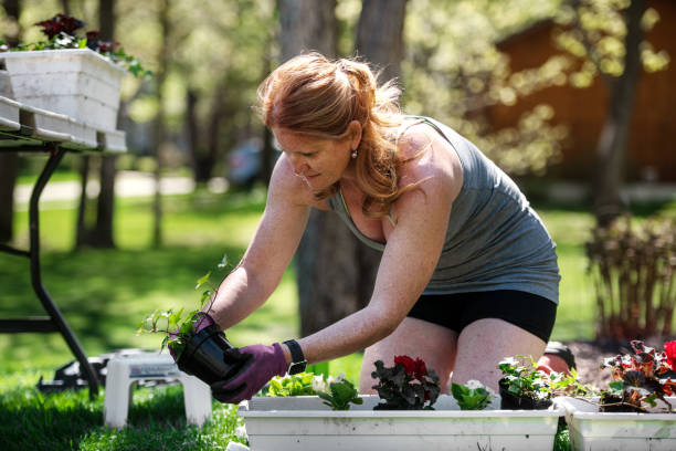 istock Woman gardening with her son 1227539461