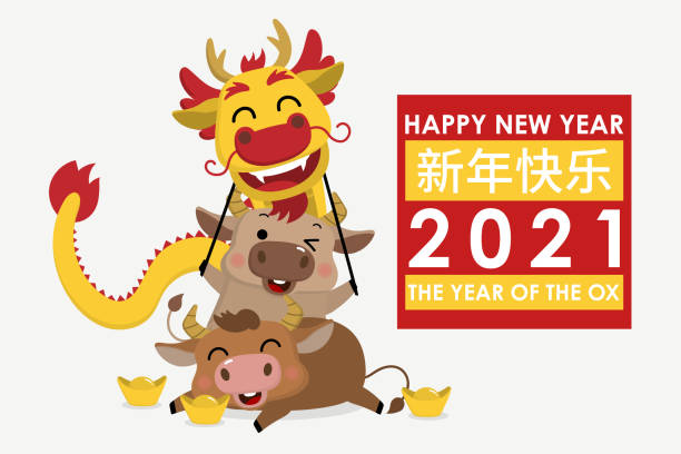 ilustrações de stock, clip art, desenhos animados e ícones de happy chinese new year greeting card. 2021 ox zodiac. cute cow and gold dragon dance. animal holidays cartoon character. translate: happy new year. -vector - dragon china year thai culture