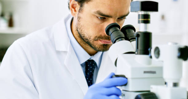 istock Working on impactful and important research 1227539608