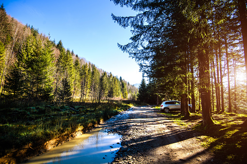 Sunrise in a beautiful forest with crossover SUV in Carpathian mountains, Ukraine, Europe. Scenery of nature with sunlight. Beauty of nature concept background.