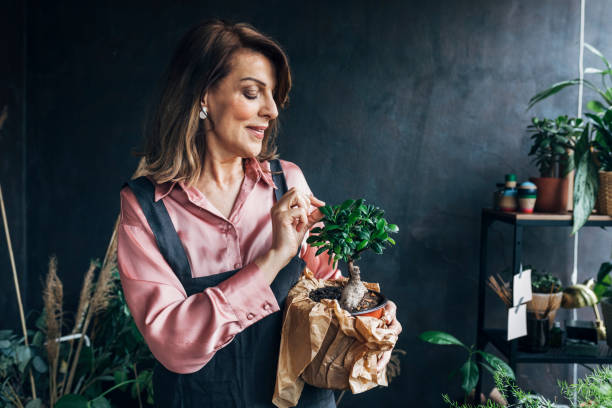 istock Gardening as a Hobby: a Senior Woman Holding a Bonsai Tree 1227541159