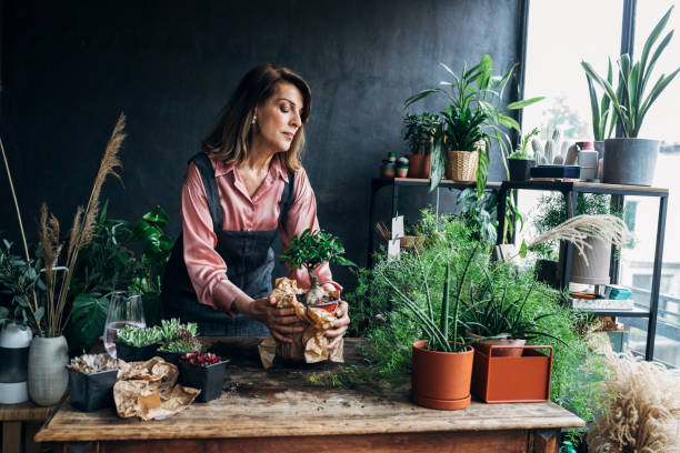 istock Gardening as a Hobby: a Senior Woman Holding a Bonsai Tree 1227541165