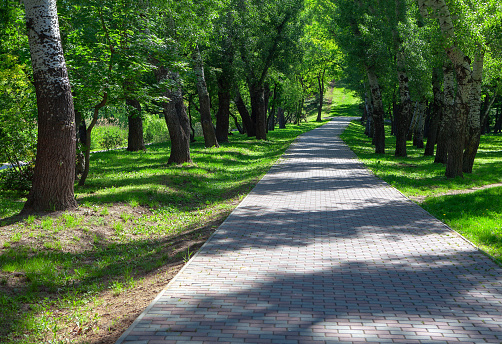 walking in the summer park