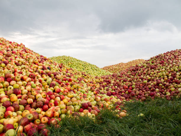 リンゴ - apple stack red fruit ストックフォトと画像