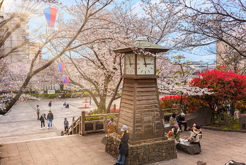 tokyo, japan - march 30 2020: Rays of the sun through the branches of the Somei Yoshino Cherry blossoms trees overlooking the clock tower of Asukayama park where people enjoy Hanami Spring Festival.