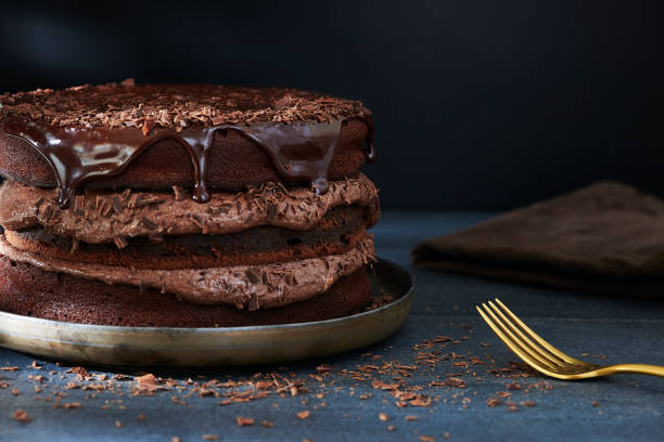 홈메이드 트리플 레이어 초콜릿 케이크 - chocolate cake 뉴스 사진 이미지