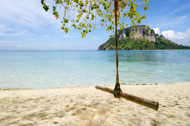 istock Couple swing on beach under tree with blue sky and sea 1227553327