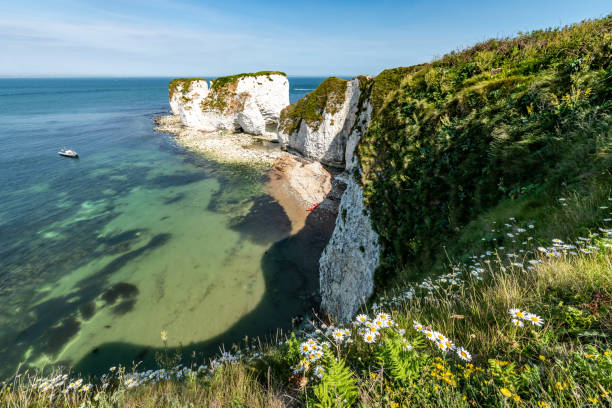 Old Harry Rocks coastline in Dorset The landmark Old Harry Rocks coastline in Dorset on a sunny day. Bournemouth and the Isle of Wight over the bay. old harry rocks stock pictures, royalty-free photos & images