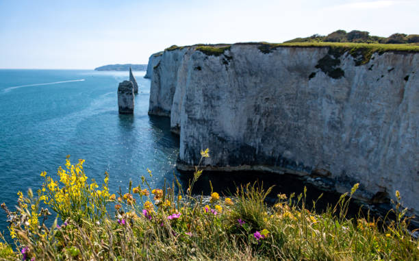 istock Chalk stone cliffs of the Dorset coast 1227554654