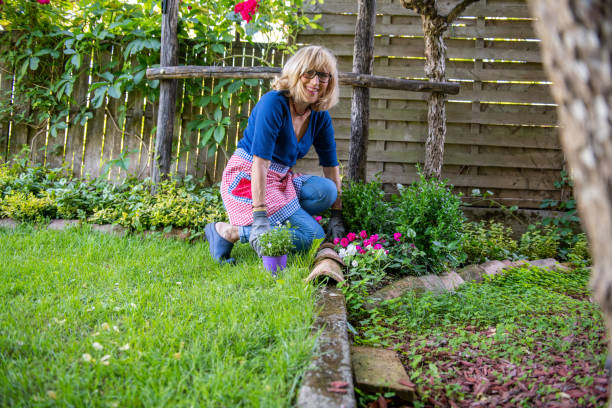 istock Senior Woman Gardening 1227556686