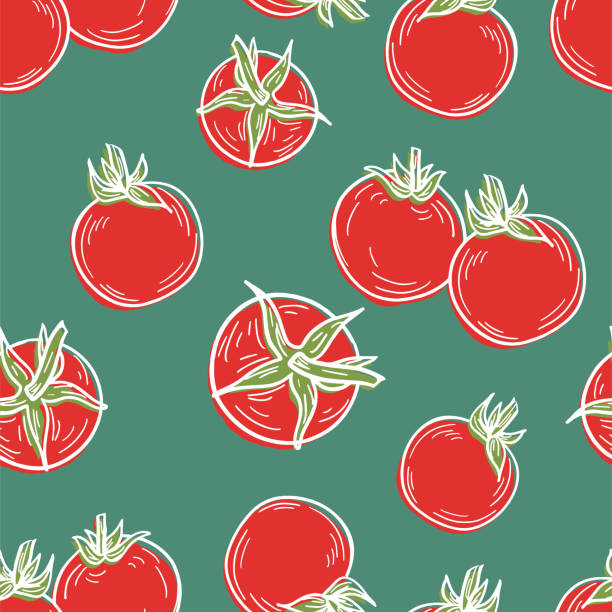 ilustraciones, imágenes clip art, dibujos animados e iconos de stock de patrón sin costuras de tomates dibujados a mano - heirloom tomato tomato vegetable fruit
