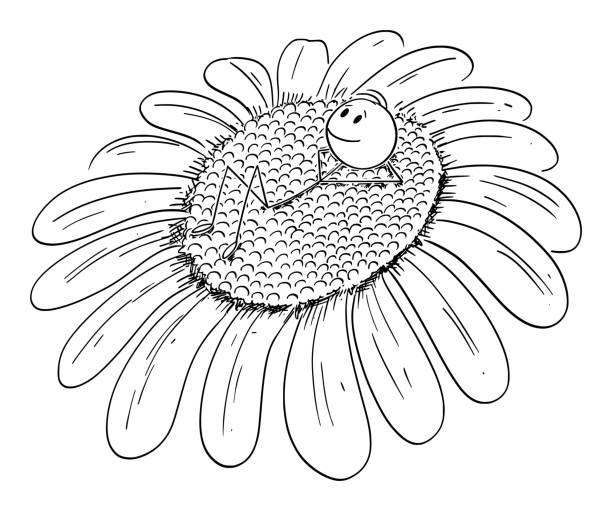 554 Single Daisy Flower Cartoon Illustrations & Clip Art - iStock