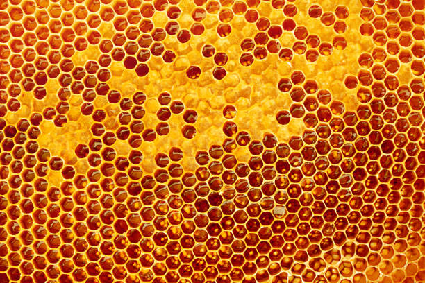 istock Yellow Honeycomb closeup background 1227559065