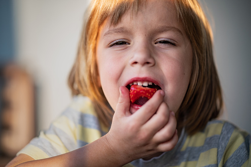 Little boy enjoys the taste of strawberries. Close up