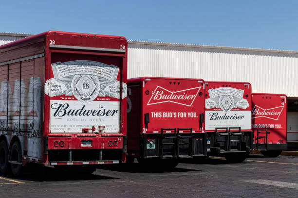 camiones de distribución budweiser. budweiser es parte de ab inbev, la compañía de cerveza más grande del mundo. - budweiser fotografías e imágenes de stock