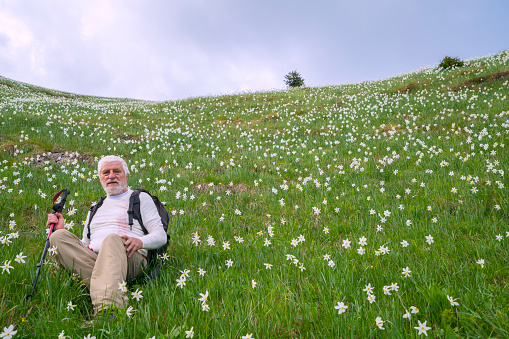 Senior man sitting and resting in blurred flowers field on top slope of mountain, Golica, Slovenia. He is surrounded with beautiful daffodil narcissus flower with white outer petals and a shallow orange or yellow cup in the center on blurred flowers and  green grass. In background is blue sky with some clouds and two trees