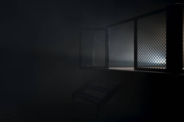 istock MMA Cage Door Spotlight 1227570262