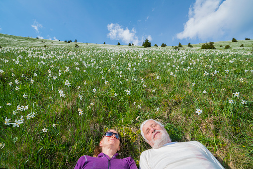 Senior couple laying and relaxing in blurred flowers field on top slope of mountain, Golica, Slovenia. They are surrounded with beautiful daffodil narcissus flower with white outer petals and a shallow orange or yellow cup in the center on blurred flowers and  green grass. In background is blue sky with some clouds and trees