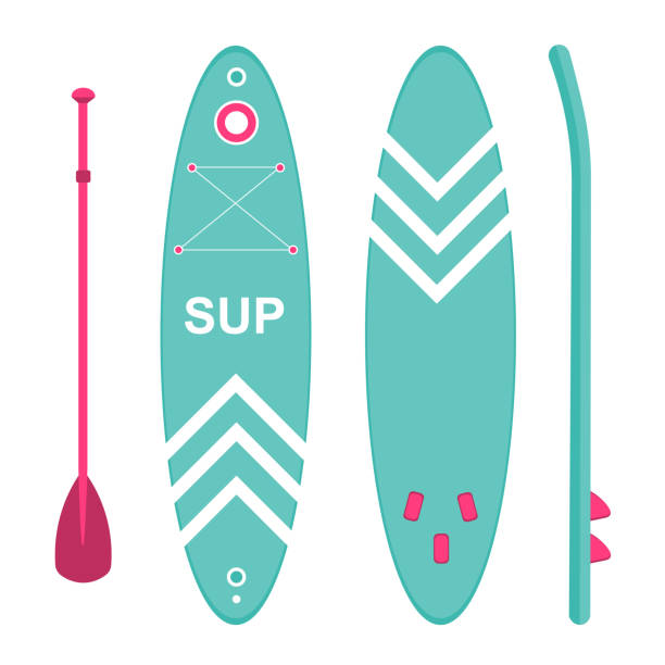 ilustrații de stoc cu sup bord. trei laturi. sport și petrecere a timpului liber. - paddleboard