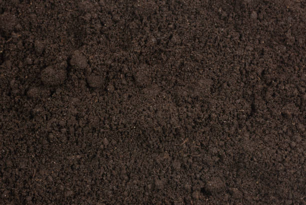 istock Black land for plant background. 1227576101