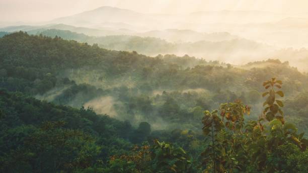 istock Foggy in the mountains with dramatic sky at sunrise 1227577480