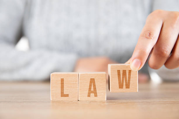 istock Law Word with Wooden Block 1227581779