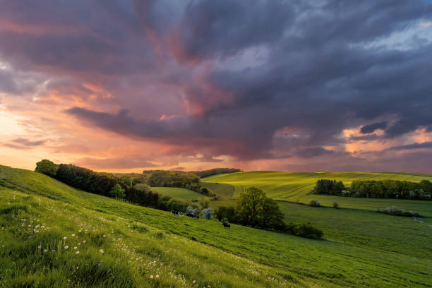 istock Out in the country 1227582389