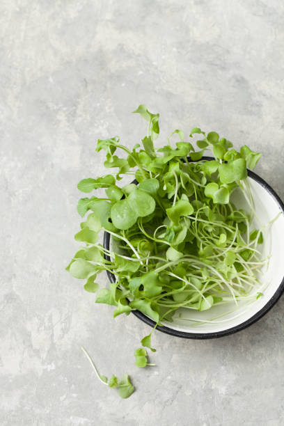 istock Young daikon greens on top in a salad bowl 1227585002