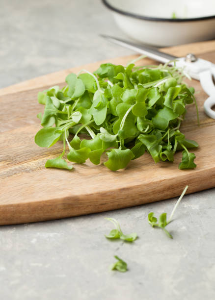 istock Close-up of cut micro-greenery on a wooden cutting Board 1227585289